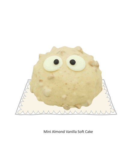 Mini Soft Cake Box